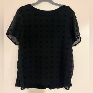 Kaileigh Black Blouse with Sheer Sleeves